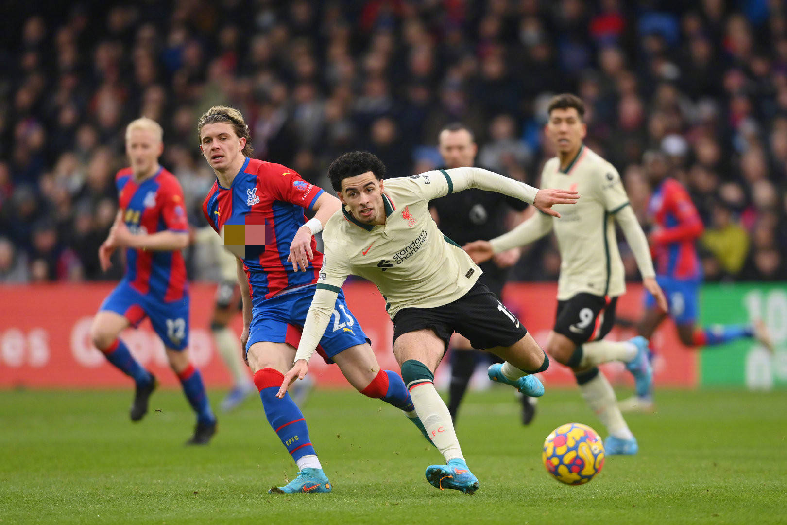 而应从基础 而应从基础